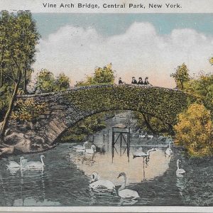 No. 3772 Vine Arch Bridge, Central Park 1923