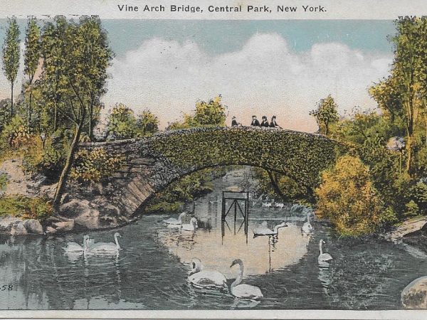 No. 3772 Vine Arch Bridge, Central Park 1923