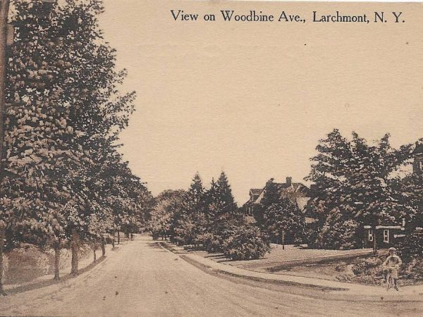 No. 4023 View on Woodbine Avenue, Larchmont 1912