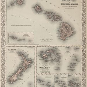 #3987 Sandwich (Hawaii) Islands, New Zealand, Fiji 1874