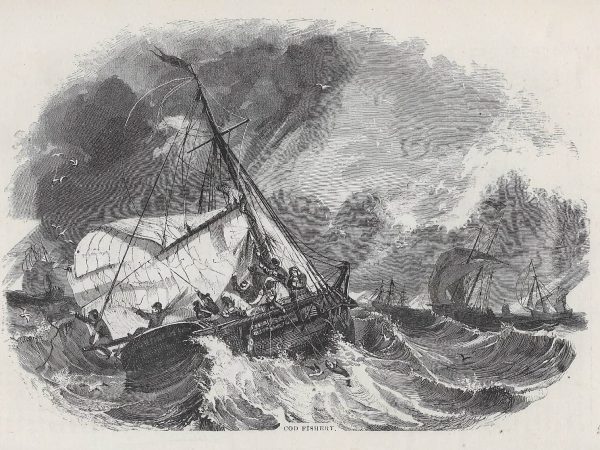 No. 4236b “Cod Fishery”, mid-1800s