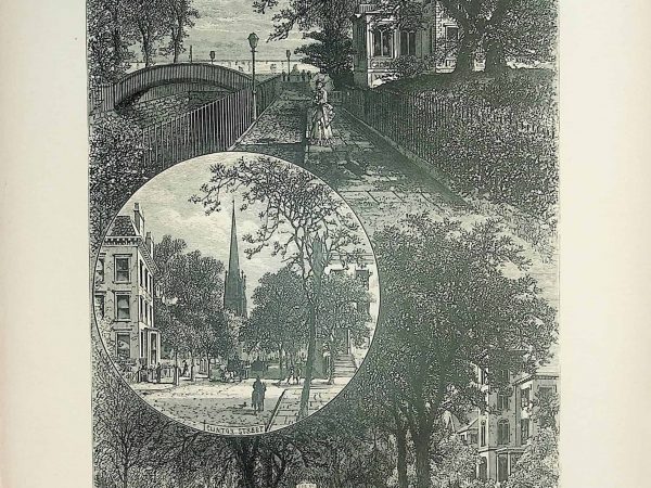 No. 4964 Brooklyn Street Scenes, 1874