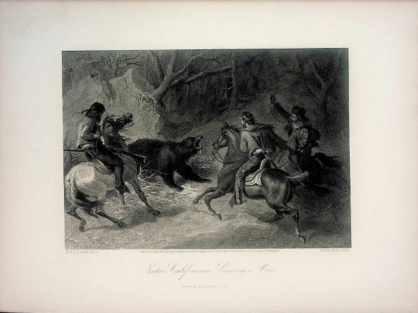 No. 4973 Native Californians Lassoing a Bear, 1874