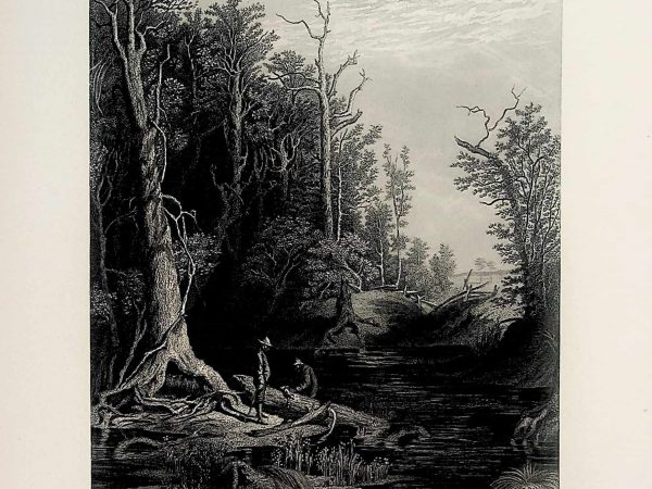 No. 5001 The Chickahominy, 1874