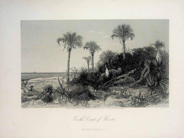 No. 5014 Coast of Florida, 1874