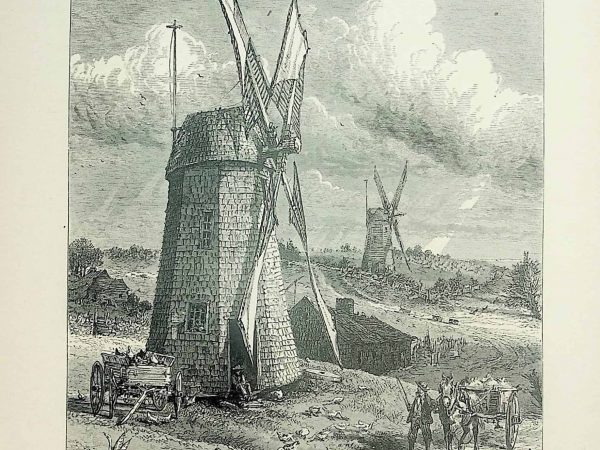 No. 5178 Grist Windmills at East Hampton, 1874